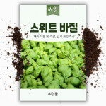 스위트 바질 씨앗 허브 키우기 바실 2000립 sweet basil 종자 : 씨앗팜