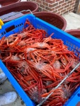 홍게시세 포항죽도시장홍게 내장 찜 홍개 제철 후포리 울진 연지 2kg 3kg : 바로식탁
