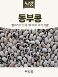 동부콩 씨앗 30g 파종용 종자 : 씨앗팜