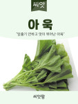 아욱씨앗 20g 종자 아욱 씨 종자 : 씨앗팜