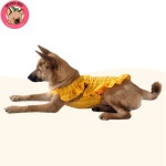 멍빅 중형견 대형견 뽀실이 프릴 원피스 멍피스 강아지옷 : 멍빅