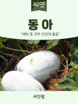 동아 동과 씨앗 10립 종자 : 씨앗팜