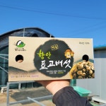 유기농백이산농원 친환경 무농약 우수인증(GAP) 농장 직접 키운 정성 표고버섯 특상품 농장직속 1kg : 유기농백이산농원