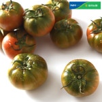 [2023년 햇] 대저 농협 대저토마토(m) 2kg＊1박스 : 공영쇼핑