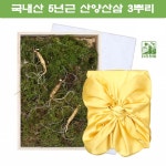 더진한팜 기운내삼 5년근 산양산삼 3뿌리 : 미야마켓