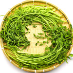 국내산 당일생산 생미나리 1kg 400g 청도 한재미나리 당일 세척 신선한 돌 미나리 : 나물투데이