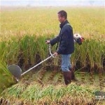 잔디 깎이 전기식 깍기 업소형 다목적 d능제초기 강냉이대 벼 깎기 신형 밀밭 예술인 손잡이 가든에서 벼를 수확000456747 : NEW탑샵