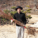 복숭아나무 묘목 접목 1년생 황도 수황 복숭아 묘목 : 농원의 모든것