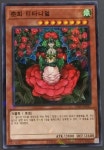 [한글판 A급]유희왕카드 춘희티타니얼 (DBSS-KR041) 패럴러레어 : Jclover