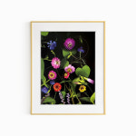 보테니컬 보태니컬 아트 꽃 봄 사진 그림 현관 액자 : 프레임 팩토리