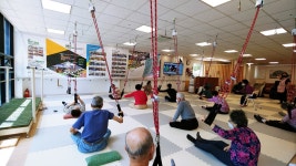 센터용 파워슬링 RBT-153 : Raphael Bridge