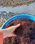 완도산 자연산 세모가사리 200g : 달빛바다수산