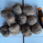 영주 둥근마 10kg (애플마) 2023년 중품 햇마 : 갓골농장