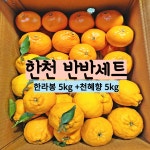 [조은농장] 애월읍 하우스 천혜향과 한라봉 반반 세트 총 10kg (가정용) : 미뇽 제주