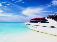 [태국-푸켓] 고다이브 라차섬+바나나비치 한국인전용투어 체험다이빙(매일운행) : 그린망고홀리데이