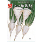 아시아종묘 아시아뿌리채 7g 씨앗 민속채소 종자 : 씨앗나래