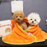 헬로마이펫 강아지수건 펫타올 애견 목욕 극세사 40x80 : 헬로마이펫