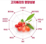 셀플렉스 닝샤 고지배리 99.9% 건강 비결 1일 2회1포 시력관리 노화관리 건강음료 다봄쇼핑 : 다봄쇼핑