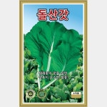 엽채류 씨앗] 돌산갓 20g : 사이버가든