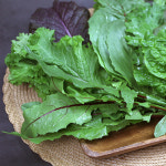 쌈채소명인 명품 친환경유기농 쌈채소 1kg : 푸드강산