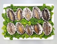 대 전복 선물세트 (1호) : 노량진수산시장 여수상회