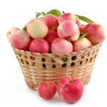 1번 강원도 홍천 사과 한박스 5kg 사과선물세트 : 김채원짱