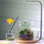 돌계단 이끼 테라리움 키트 DIY 만들기 A타입 : 내츄럴팟 스토어