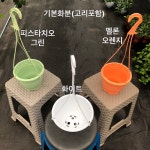 농장직배송 트리초스(트리쵸스 • 립스틱플랜트) : 소요1377