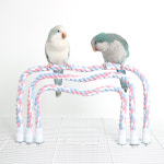 앵무새 용품 핑크베베 5size 로프 면횃대 앵무새 횃대 : 앵무새 장난감 애니버드샵