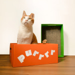 차즈마켓 고양이 박스 스크래쳐 숨숨집 푸르르 그르르 purrr grrrr : 차즈마켓