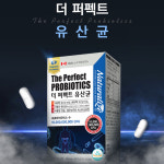 에버네이처 네추럴라이즈 - 더 퍼펙트 유산균 510mg x 60캡슐 : 에버네이처