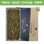 더진한팜 기운내삼 10년근 산양산삼 12뿌리 : 미야마켓