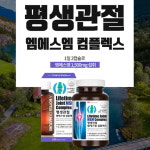 에버네이처 어바틀 - 평생 관절 엠에스엠1,300mg x 90캡슐 : 에버네이처