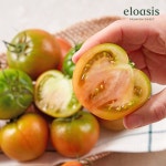 고당도 대저동 산지직송 대저 짭짤이 토마토 쥬스용 대저토마토 : 엘로아시스