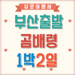 곰배령1박2일 부산출발 6월13일입산 빠른예약 천상의 화원 : 보문여행사