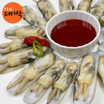 순천만 별량 맛조개 가리맛조개 제철 캠핑 조개구이 찜 대맛조개 : 더대박