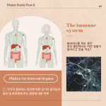 Encore! Pilates for Internal Organs : 필라테스 플로우 에잇