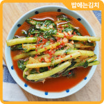 밥에는 국산 열무김치 3kg 열무무침 어린무 신선한 우리농산물 : 이고마켓