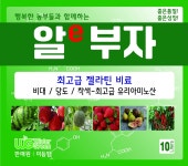 알부자 10L 알e부자 젤라틴비료 비대 맛 당도 착색 생육촉진 최고급 유리아미노산 동물성아미노산 : 미듬팜