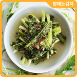 밥에는 국산 열무물김치 3kg 물김치 어린무 신선한 우리농산물 : 이고마켓