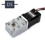 웜기어드 BLDC모터 DWBG-4562-24052N Double Shaft (24V 브론즈기어형) : 모터베이몰