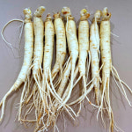 인삼 국내산 원수삼 금산인삼 도매일번지 세척 : 금산인삼도매일번지