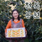 천복 머위 1kg, 2kg, 3kg : 천복농원