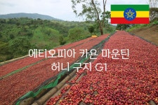 에디오피아 카욘 마운틴 허니 구지 G1 원두 홀빈 홈카페 커피빈 250g : 샬롬커피
