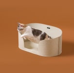 두잇 올데이바스켓 고양이 펠트 숨숨집 : duit