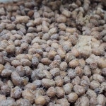 광이원김광자명인 X 솔바위농원 전통 국산 청국장 1kg(250g 4개) : 광이원 전통장