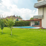 한국 들잔디 씨앗 4만립 1평파종 조선 토종 종자 산소 산소용 전원주택 정원마당 잔디씨 : 연두네씨앗