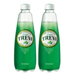롯데칠성 트레비 라임 500ml 12병 : 청화마트