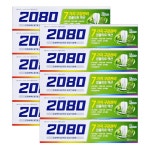 애경 2080 컴플리트액션 치약 허브민트향 120g X 10개 : 더조은유통8667