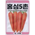 홍심5촌 노랑 자색 당근씨 당근씨앗 봄 여름 가을 : 모두싹판다